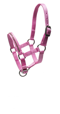 WAHSTLEN CRYSTAL FOAL HALTER, PINK